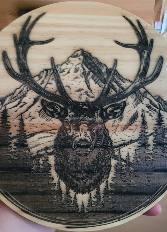 Here we took a 5/8" thick x 10" round pine board and laser engraved a large Bull Elk with a mountain range in the background. Sealed with multiple coats of clear poly to help protect the finish. ! sawtooth and 2 nails included for hanging.